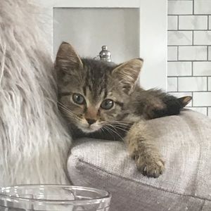 Meet your Posher, Kari